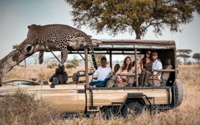 TODO SOBRE AFRICA Y SUS SAFARIS